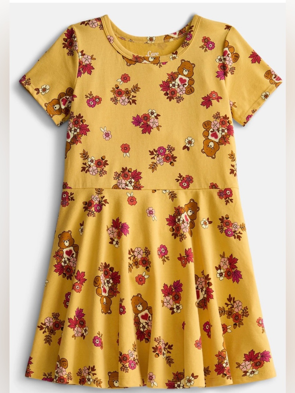 Care Bears Girls Tenderheart Floral Skater Dress L 10/12 NWT